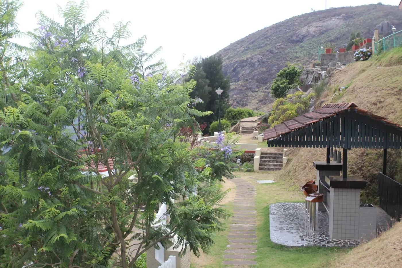 hill country lovedale